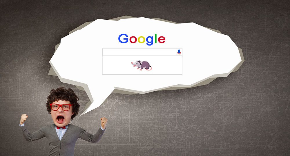 חמישה דברים שעליכם לדעת על האופוסום של גוגל